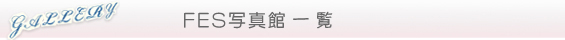 ギャラリー一覧
