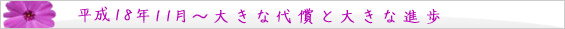 平成18年 11月～　大きな代償と大きな進歩